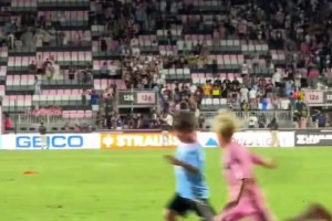 数据波动被 数据波动被